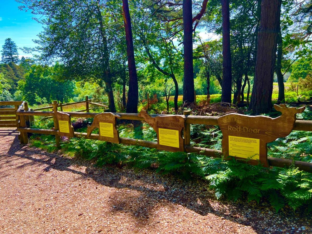 Forest Haven 스웨이 외부 사진